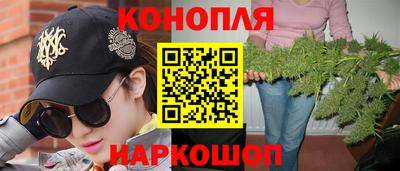 прущие грибы Моздок