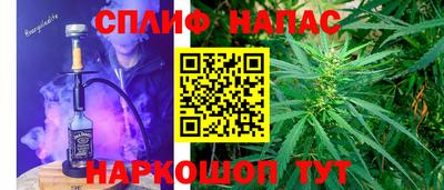 прущие грибы Моздок