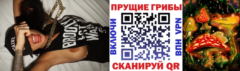 Галлюциногенные грибы Magic Shrooms  Омск 