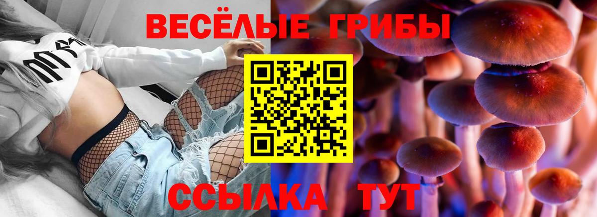 Галлюциногенные грибы Psilocybine cubensis  Вход с VPN  Омск 